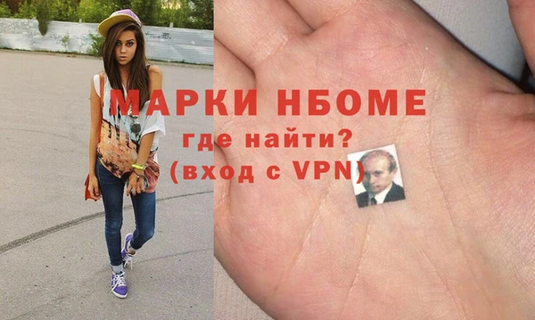 мдпв Елабуга