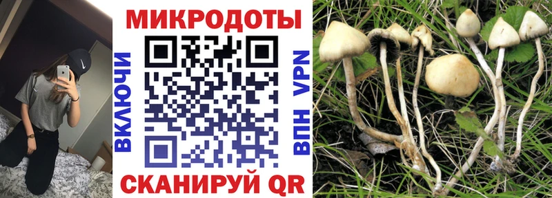 Псилоцибиновые грибы прущие грибы Ковдор