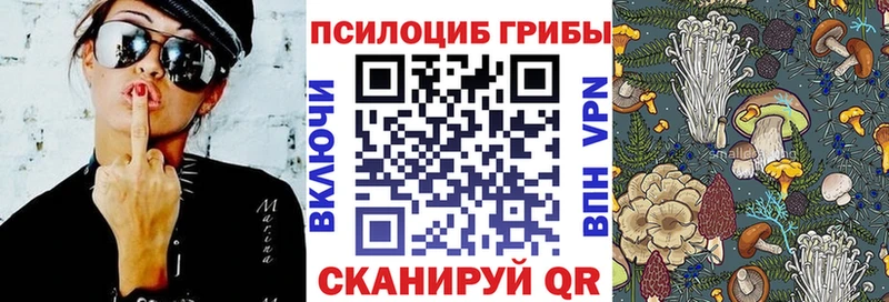 Псилоцибиновые грибы мухоморы  где купить наркоту  Ковдор 